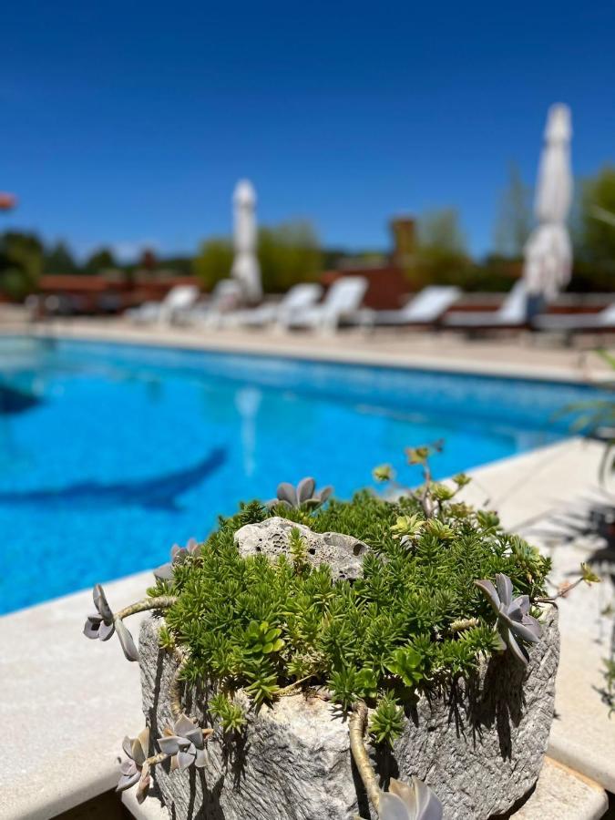 Apartment With Swimming Pool Йелса Екстериор снимка